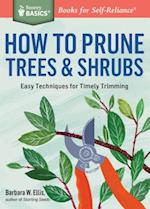 How to Prune Trees & Shrubs
