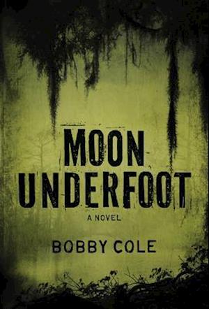 Moon Underfoot