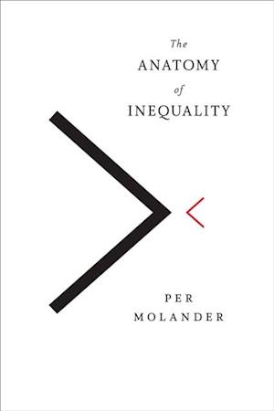 Anatomy of Inequality