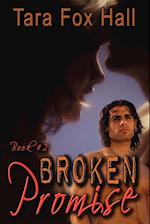 Broken Promise, Book 2 of the Promise Me Series