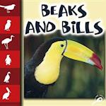 Beaks and Bills