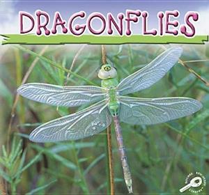 Dragonflies