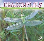 Dragonflies