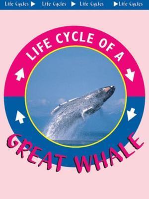 Great Whale