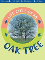 Oak Tree