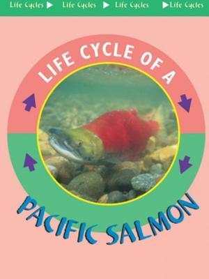 Pacific Salmon