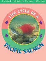 Pacific Salmon