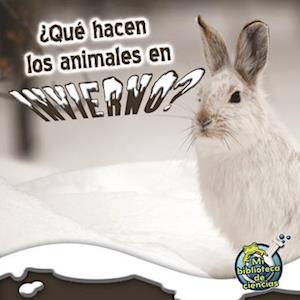 Qué Hacen Los Animales En Invierno?