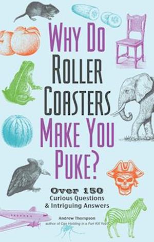 Why Do Roller Coasters Make You Puke?
