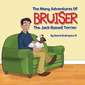 The Many Adventures of Bruiser The Jack Russell Terrier