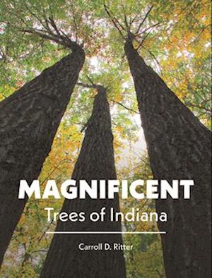 Magnificent Trees of Indiana