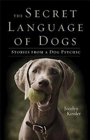 Secret Language of Dogs