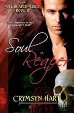 Soul Reaper Series Book II