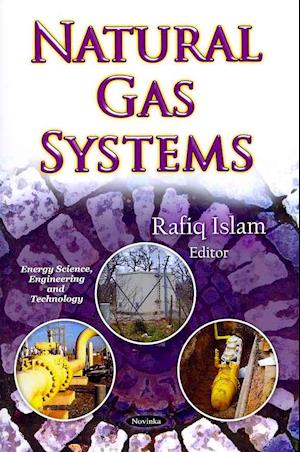 Natural Gas Systems