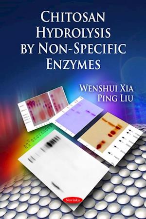 Chitosan Hydrolysis by Non-Specific Enzymes