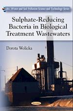 Sulphate-Reducing Bacteria in Biological Treatment Wastewaters