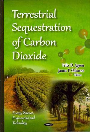 Terrestrial Sequestration of Carbon Dioxide