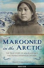 Marooned in the Arctic