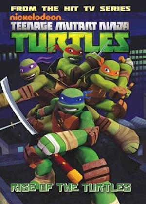 Teenage Mutant Ninja Turtles Animated Volume 1 Rise Of The Turtles