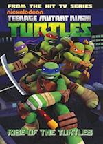 Teenage Mutant Ninja Turtles Animated Volume 1 Rise Of The Turtles