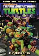 Teenage Mutant Ninja Turtles Animated Volume 3 The Showdown