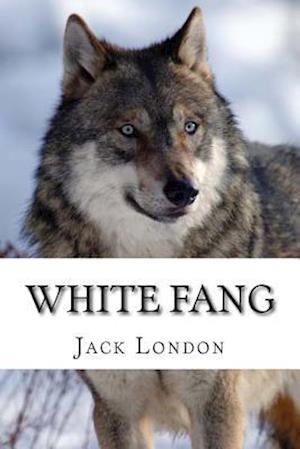 White Fang