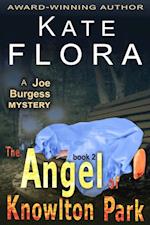 Angel of Knowlton Park (A Joe Burgess Mystery, Book 2)