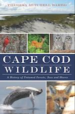 Cape Cod Wildlife