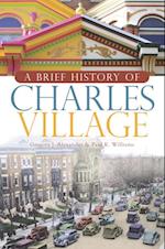 Brief History of Charles Village