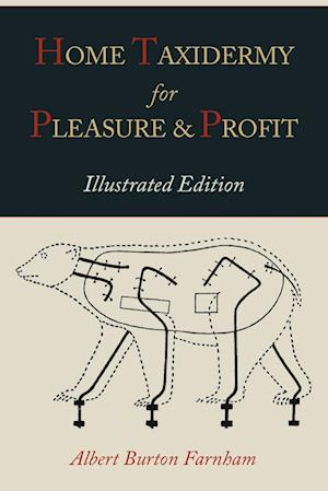 Home Taxidermy for Pleasure and Profit [Illustrated Edition]