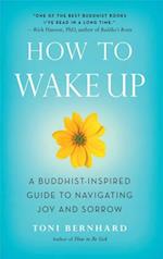 How to Wake Up : A Buddhist-Inspired Guide to Navigating Joy and Sorrow