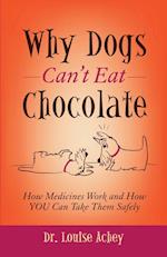 Why Dogs Can't Eat Chocolate