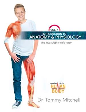 Introduction to Anatomy & Physiology: The Musculoskeletal System Vol 1