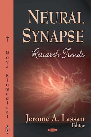 Neural Synapse Research Trends