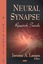 Neural Synapse Research Trends