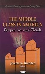 Middle Class in America