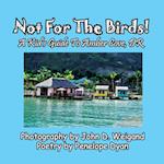 Not For The Birds! A Kid's Guide To Amber Cove, DR