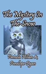 The Mystery In The Snow 