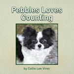 Pebbles Loves Counting