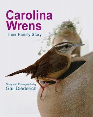 Carolina Wrens: Their Family Story