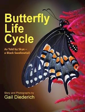 Butterfly Life Cycle : As Told by Skye - a Black Swallowtail