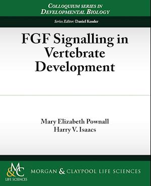 FGF Signalling in Vertebrate Development