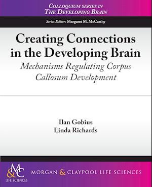 Creating Connections in the Developing Brain