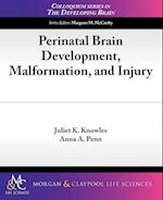 Perinatal Brain Development, Malformation, and Injury