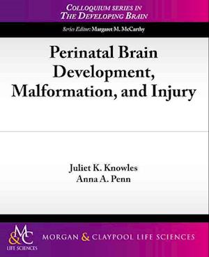 Perinatal Brain Development, Malformation, and Injury