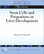 Stem Cells and Progenitors in Liver Development