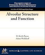 Alveolar Structure and Function