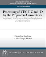 Processing of Vegf-C and -D by the Proprotein Convertases