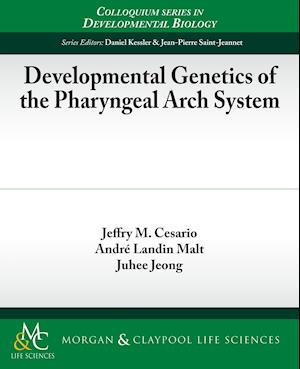 Developmental Genetics of the Pharyngeal Arch System