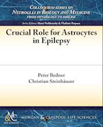 Bedner, P:  Crucial Role for Astrocytes in Epilepsy